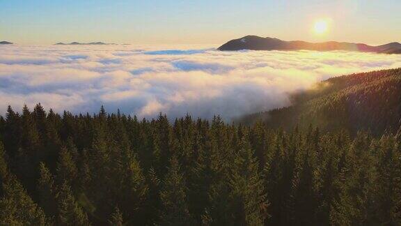 秋天云杉森林覆盖的山丘上充满活力的日出鸟瞰图