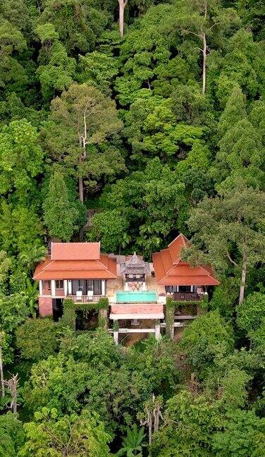 一对男女在丛林雨林山上的游泳池别墅里享受豪华假期