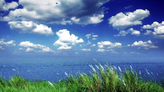 草、海、天
