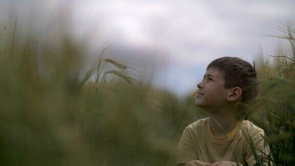 快乐的男孩坐在麦田里看着下雨的美丽天空