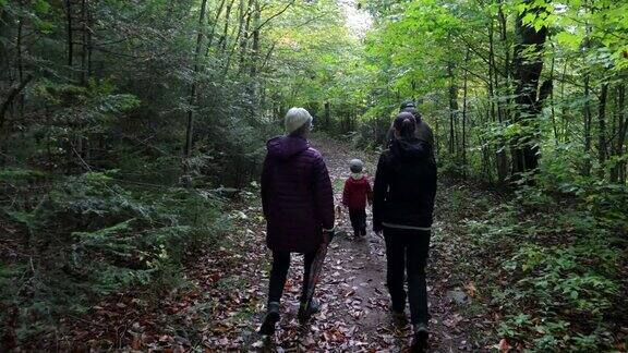 一家人在秋天的徒步旅行中探索森林