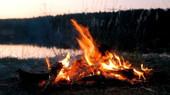 河边森林里燃烧着篝火的枯枝