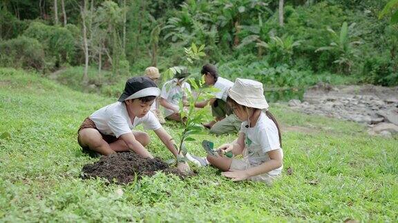 小朋友男孩女孩团队参与栽培植物植树造林、保育地球等活动培养他们的耐心和牺牲精神并积极行善热爱大自然