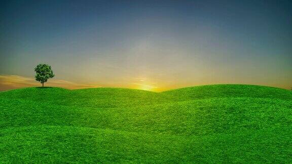 景观景观绿色的自然草地和阳光