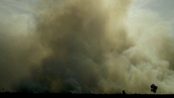 印度尼西亚苏门答腊岛森林大火产生的黑烟