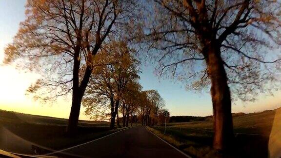 驾驶乡村道路与树木在日落POV