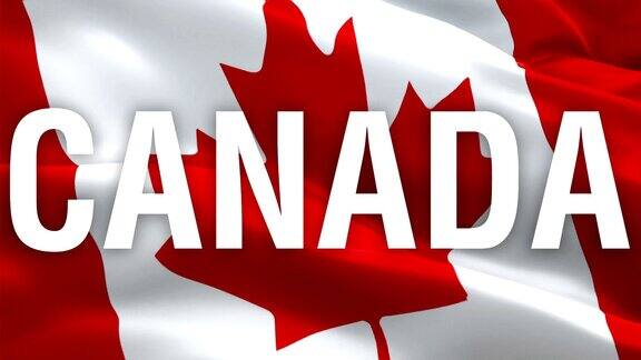 加拿大挥舞着国旗3d加拿大国旗和挥舞的叶子徽章标志加拿大多伦多无缝循环动画加拿大旗帜高清分辨率背景加拿大国旗特写1080p全高清视频演示