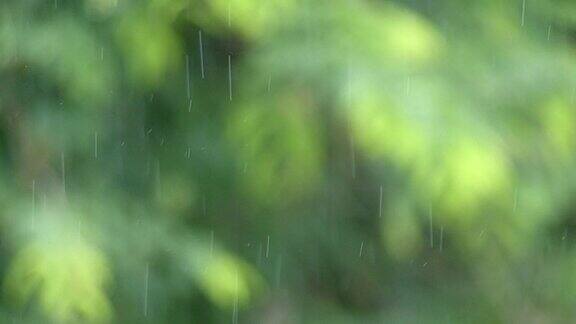 慢动作视频的毛毛雨雨滴和模糊的绿色自然背景