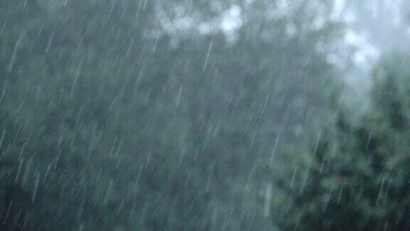 大雨的特写镜头雨滴