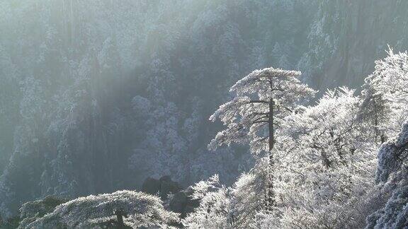 黄山在冬天中国