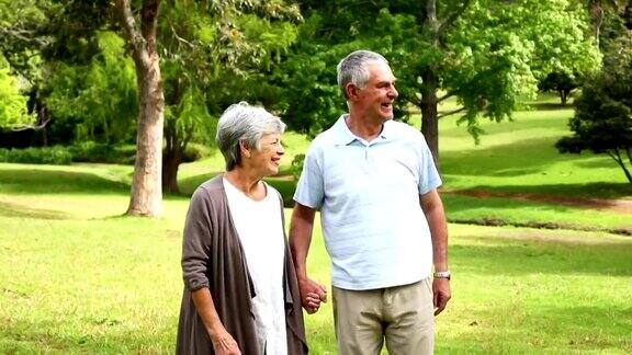 一对退休夫妇一起在公园散步