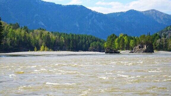 春天的西伯利亚阿尔泰共和国卡顿山河和绿色岩石的阿尔泰景观