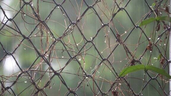 雨中铁链围栏