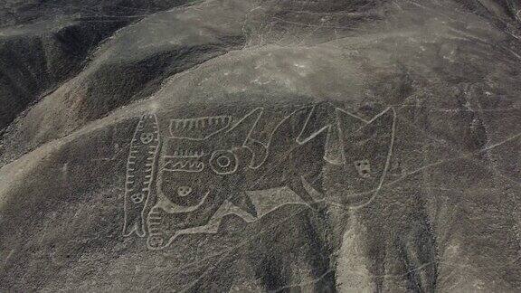 高视角的鲸鱼被称为虎鲸的纳斯卡线的一部分在纳斯卡沙漠航空视频的土壤地理符号