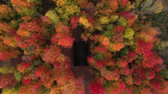 一个小屋隐藏在美丽的偏远的森林在秋天美丽的树木