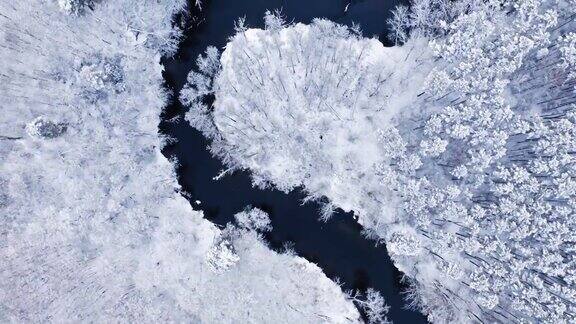 白雪皑皑的森林和冬天弯曲的河流冬季鸟瞰图