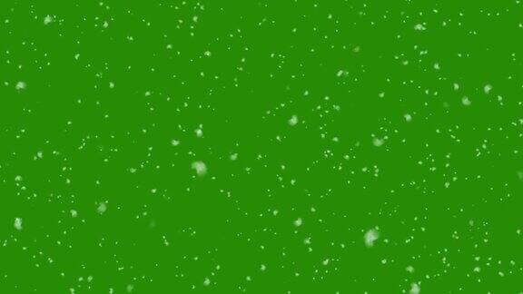 现实的降雪背景孤立在绿色屏幕背景无缝循环背景