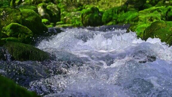 水从森林里小溪的小瀑布上飞溅而下