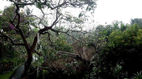 巴厘岛的暴雨