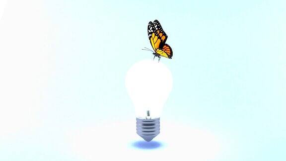 蝴蝶落在一个灯泡上灯泡就亮了