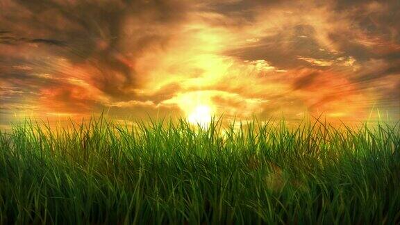 夕阳下随风摆动的绿草