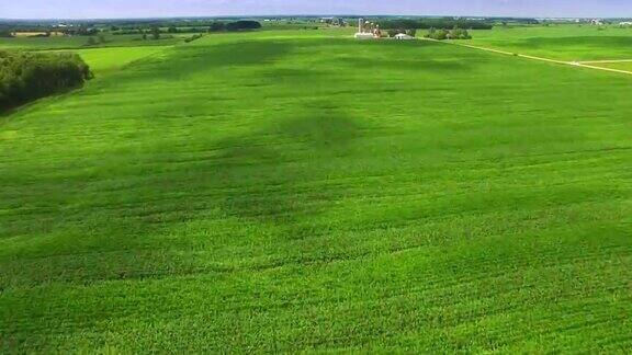 郁郁葱葱的牧场威空中斯康星州的玉米地