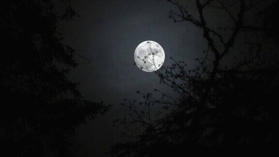 恐怖电影《夜晚的满月》
