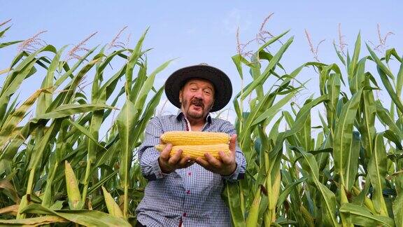 在玉米地里快乐的老工人看着照相机一个人抱着一株年轻的玉米