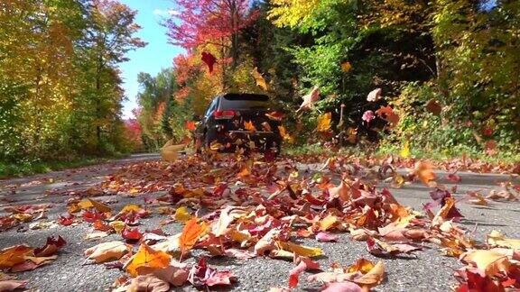 慢镜头特写:五彩缤纷的秋叶在一辆汽车后面旋转