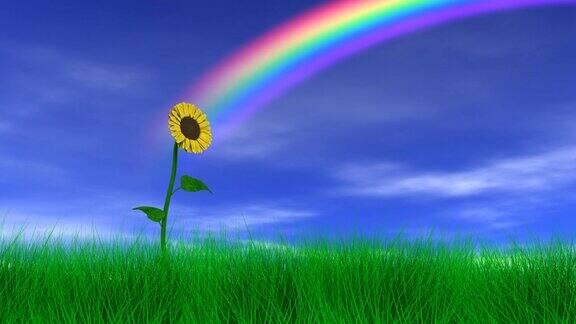 向日葵和彩虹