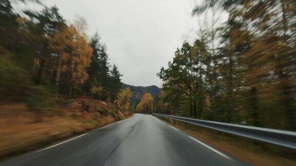 驾车驶过挪威峡湾:户外秋天的黄色森林