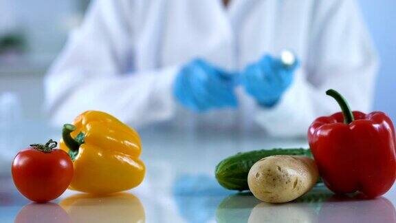 实验室桌上的新鲜蔬菜研究员正在分析改良食品的质量