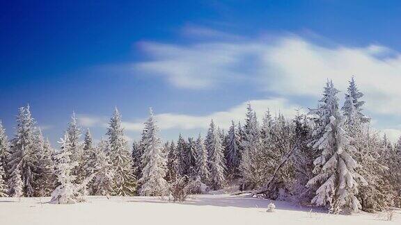 冬季景观与高云杉和雪山
