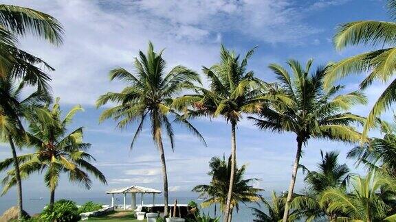 斯里兰卡加勒的海边棕榈树和凉亭
