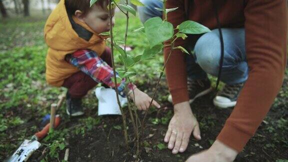 植树节父母孩子在春天植树种树 树木树苗 家庭