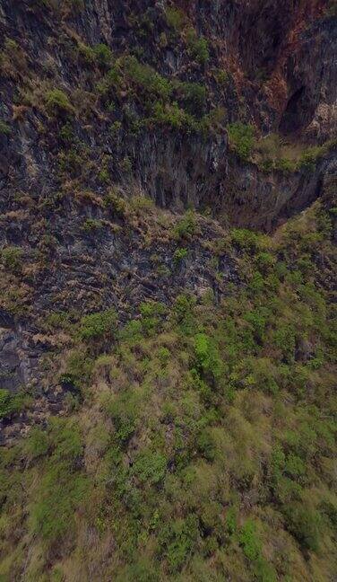 垂直视频近动态飞行山岩在绿色森林岛