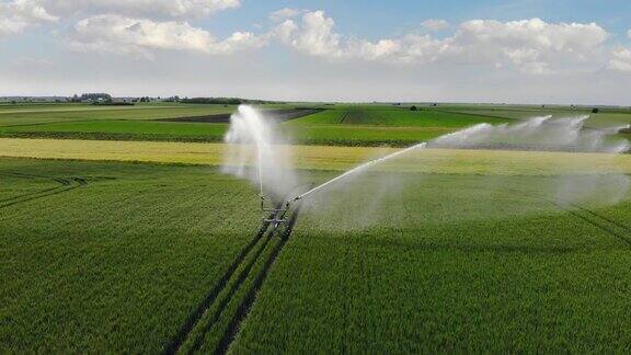 鸟瞰图灌溉系统灌溉麦田