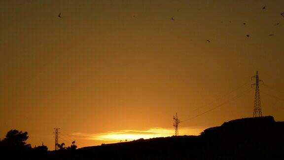 燕子在日落时在天空中飞翔