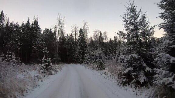 视频驾驶一辆车在积雪的森林道路在冬天日落在野外开车旅行