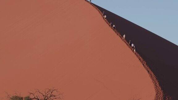 游客攀登纳米布-诺克卢夫特国家公园内的45沙丘的4K视野