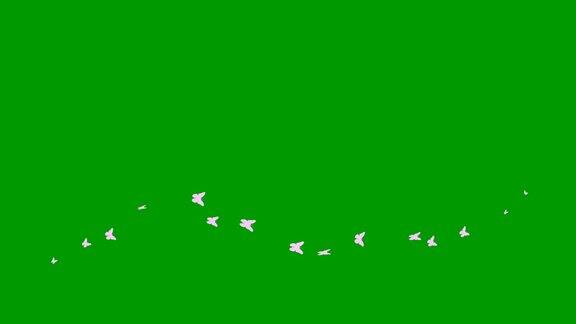 动画粉色蝴蝶从左到右飞行一波蝴蝶夏天矢量图孤立在绿色背景上