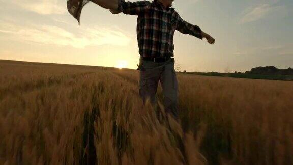 空中SLOMO农民在日落时穿过一片麦田