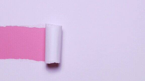 4k停止运动的纸被撕成粉红色的背景信息
