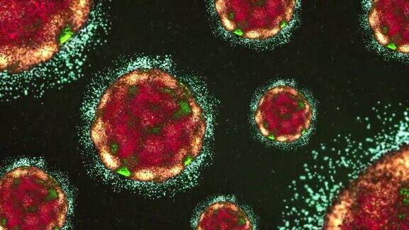 病毒视频火鸡病毒显微镜生物细胞流感病毒