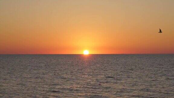 橙色的日落日落海景黄红的太阳沉入大海美丽的日落在海上