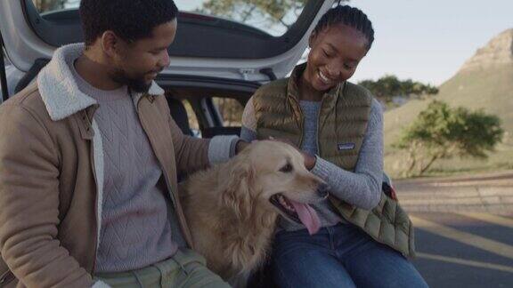 一段4k视频记录了一对年轻夫妇在公路旅行中与他们的金毛猎犬坐在一起的情景