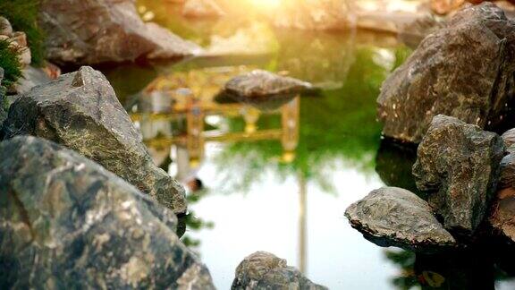 摄影:阳光下花园中的岩石和池塘