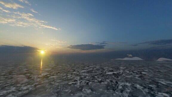 日落时分北极熊在冰面上