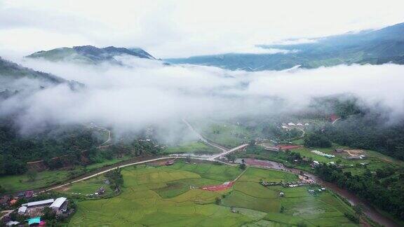 鸟瞰图无人机飞越海雾与稻田在山区泰国南