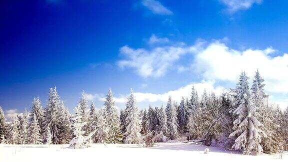 冬季景观与高云杉和雪山